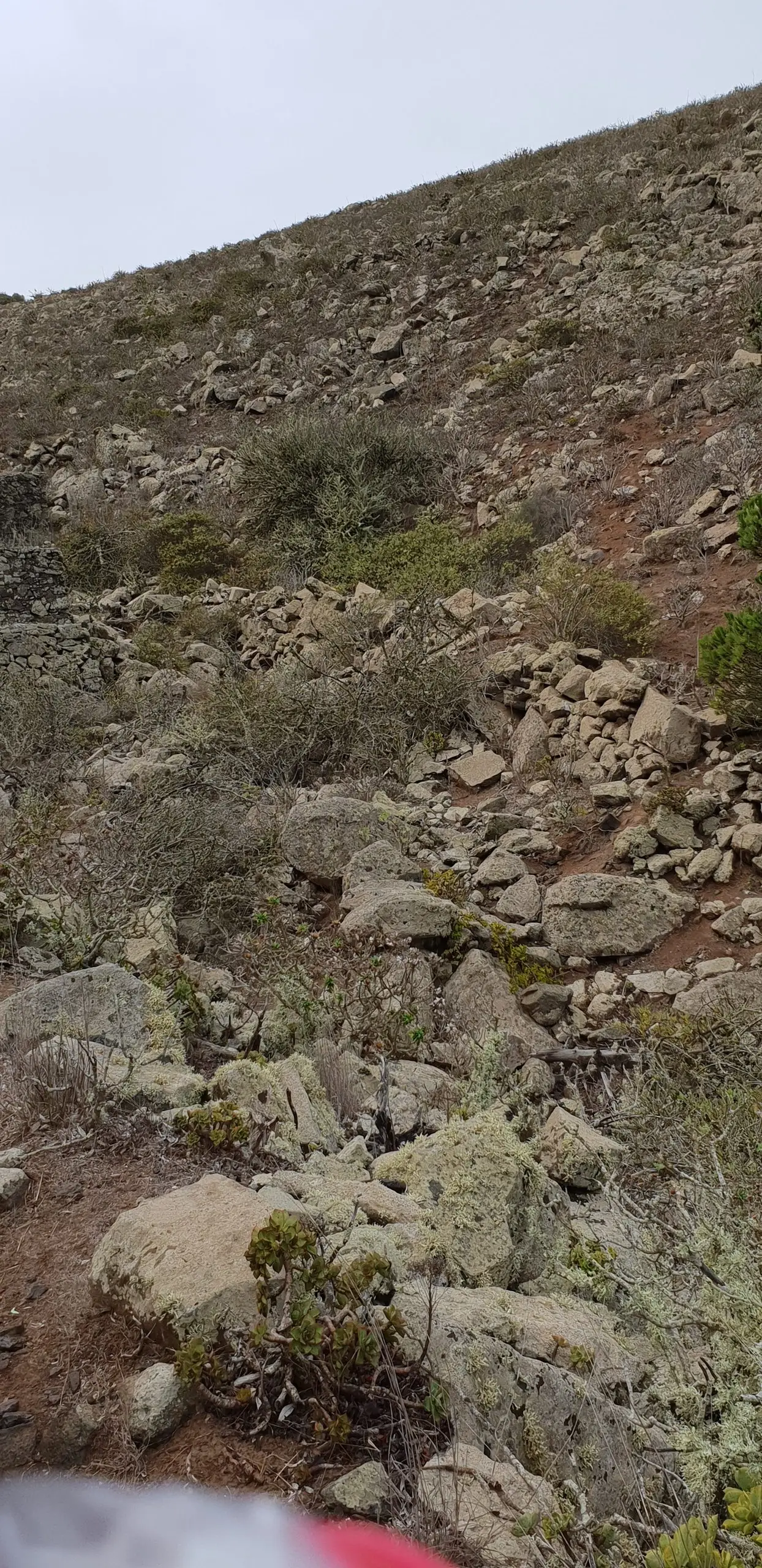 20191116_104257-e1575119014111