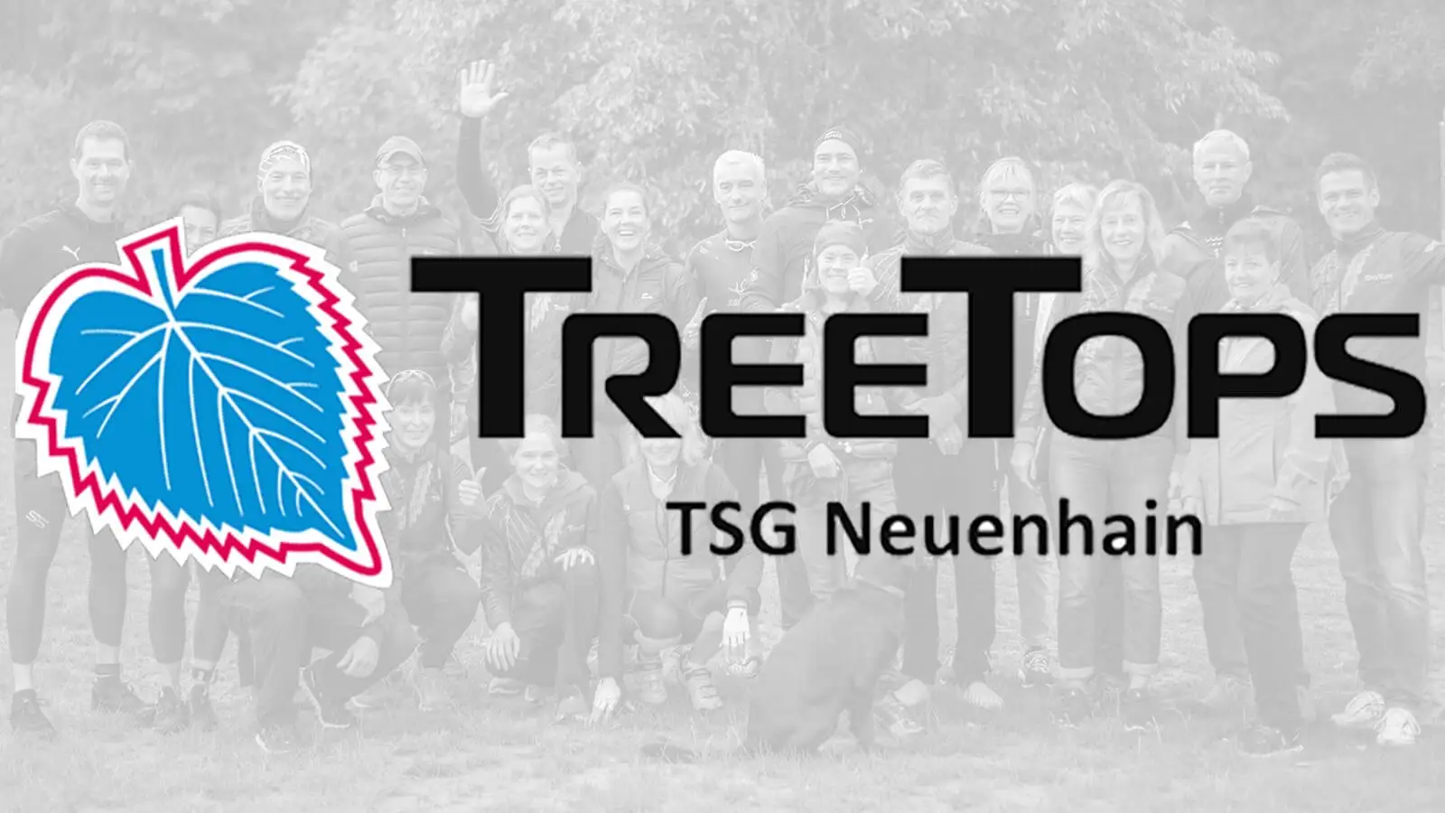 Die TreeTops Historie